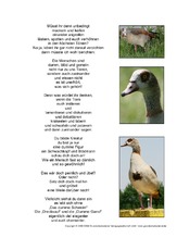 Gedicht-Gänsefragen-Seite-2.pdf